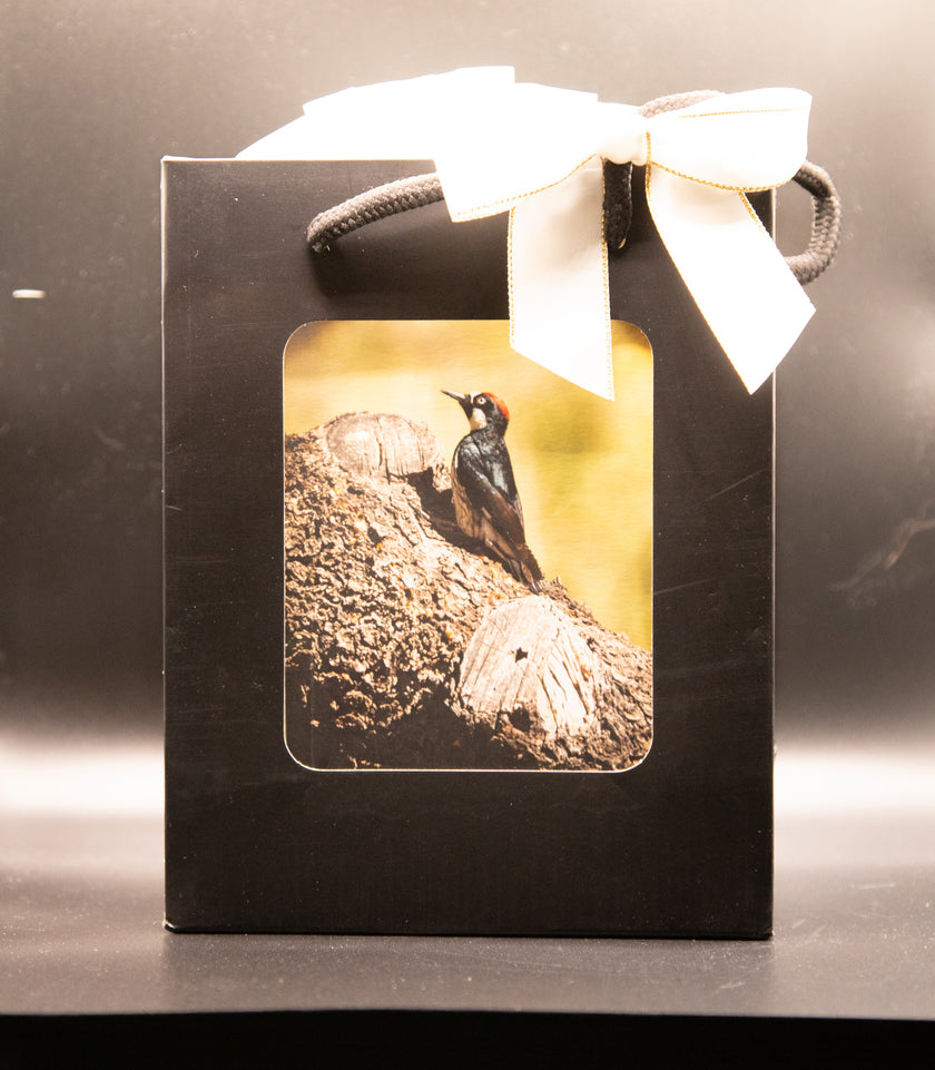 Acorn Woodpecker Version 1  Framed Print * Giclee Fine Art Print * Acrylic Frame Desktop