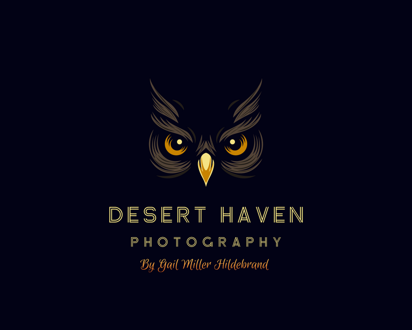 Scotts Oriole Bird Framed Print * Giclee Fine Art Print * Acrylic Frame Desktop