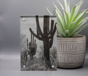 Saguaro Framed Print * Giclee Fine Art Print * Acrylic Frame Desktop
